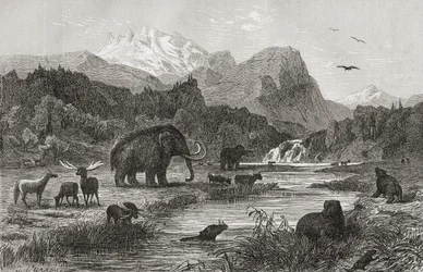 Pliocene Landscape